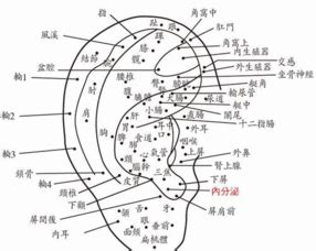 左腳踝有痣